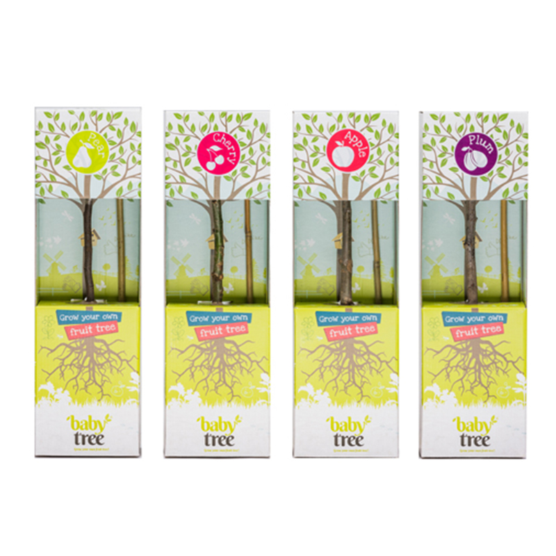 Baby Tree fruit tree gift